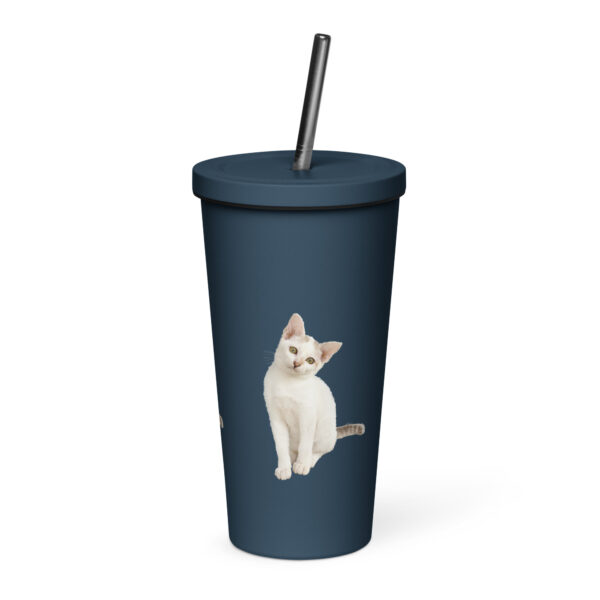 Insulated Tumbler with Straw Double-Wall Stainless Steel - Image 4