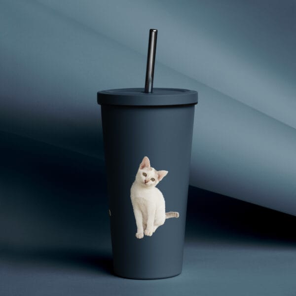 Insulated Tumbler with Straw Double-Wall Stainless Steel - Image 10